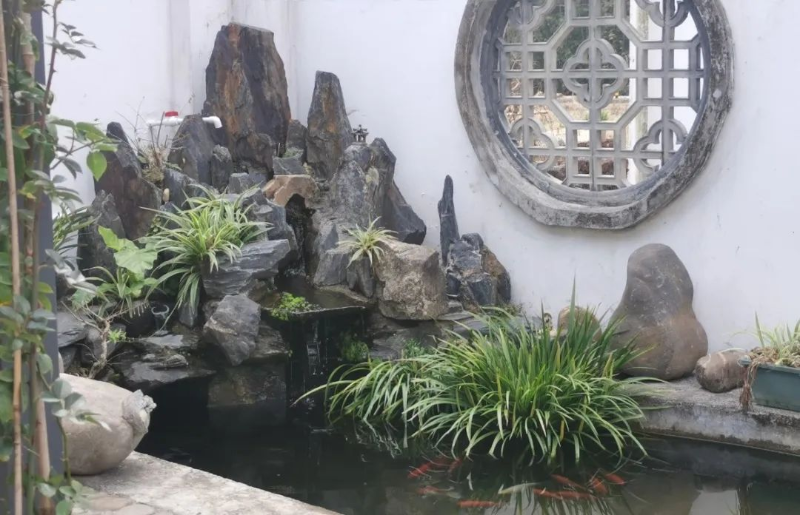 圖片